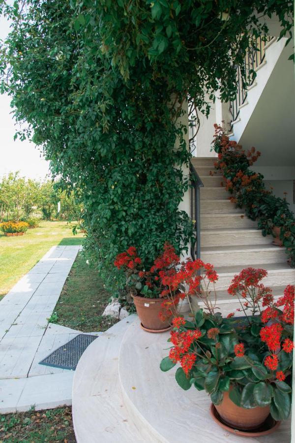 אולסינץ' Luce Di Sole Apartment מראה חיצוני תמונה